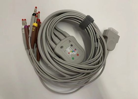 Cable électrocardiogrammique gris 10 plomb avec 15 broches Connecteur banane standard américain 4.0