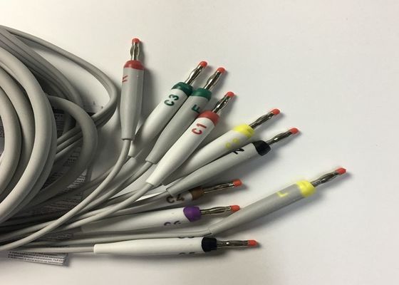 10 Pièces de remplacement ECG en plomb Cable GE2104726-001 Norme UE