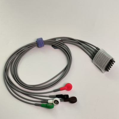 IT20 Télémétrie par électrocardiogramme fil de plomb cinq plomb American Standard Buckle Style REF EL05DASY1