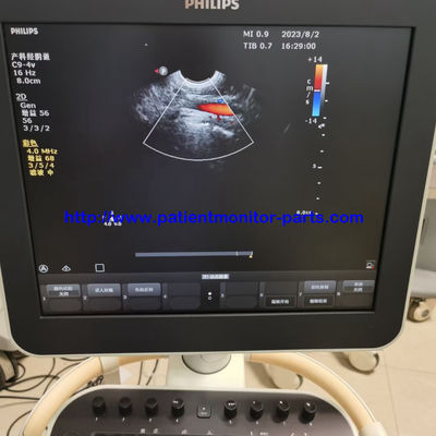 Système de diagnostic par ultrasons de la série Philip CV sonde vaginale B-ultrasons C9-4V