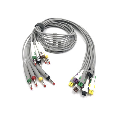 2104724-002 ECG Les câbles à conduit et les câbles à tronc 10 conduits